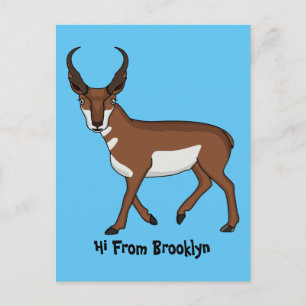Pronghorn antelope cartoon illustration postcard