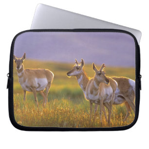 Pronghorn Antelope in Montana Laptop Sleeve