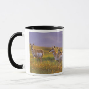Pronghorn Antelope in Montana Mug