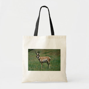 Pronghorn Antelope Tote Bag