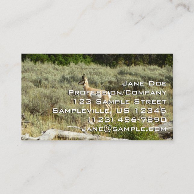 Pronghorn at Grand Teton National Park Business Card (Front)