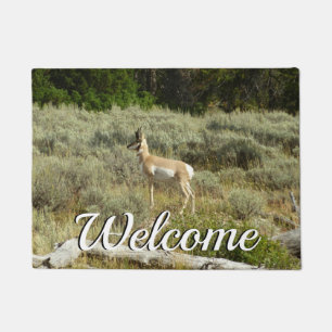 Pronghorn at Grand Teton National Park Doormat