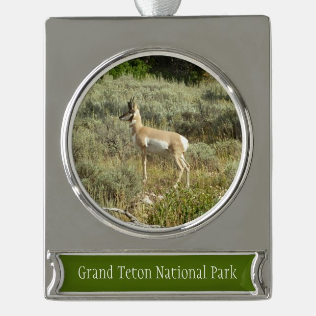 Pronghorn at Grand Teton National Park Silver Plated Banner Ornament (Front)