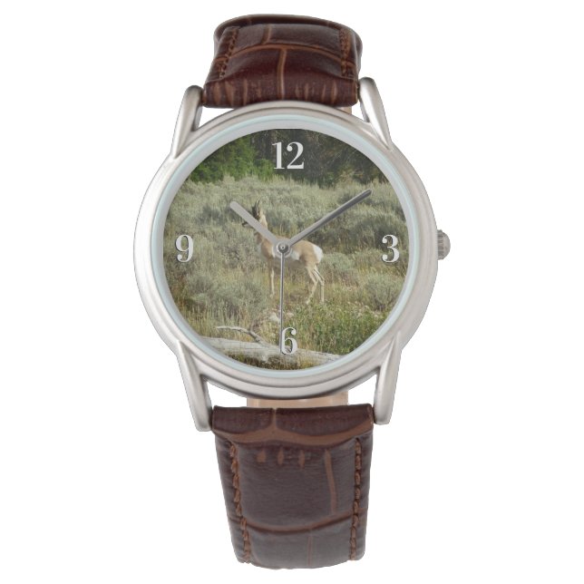 Pronghorn at Grand Teton National Park Watch (Front)