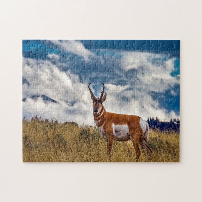 Pronghorn Deer Montana. Jigsaw Puzzle (Horizontal)