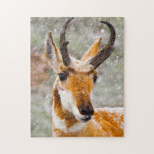 Pronghorn Deer Wyoming. Jigsaw Puzzle (Vertical)