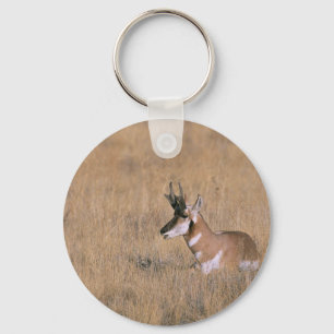 Pronghorn Key Ring