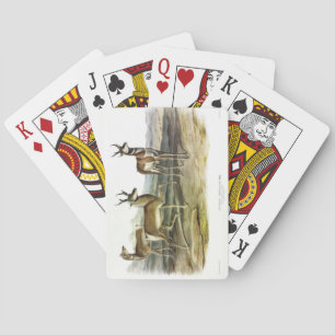 Pronghorn (Prong-horned Antelope) by Audubon Playing Cards