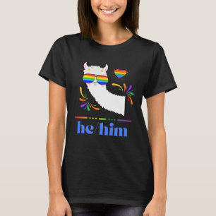 Pronouns He Him Gay Pride Rainbow Groovy Lllama Re T-Shirt