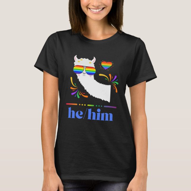 Pronouns He Him Gay Pride Rainbow Groovy Lllama Re T-Shirt (Front)