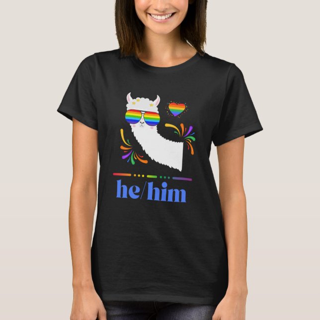 Pronouns He Him Gay Pride Rainbow Groovy Lllama Re T-Shirt (Front)