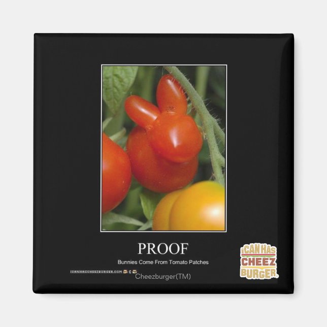 Proof Magnet (Front)
