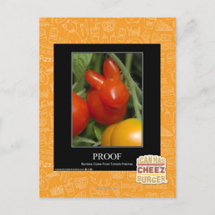 Proof Postcard