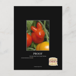 Proof Postcard