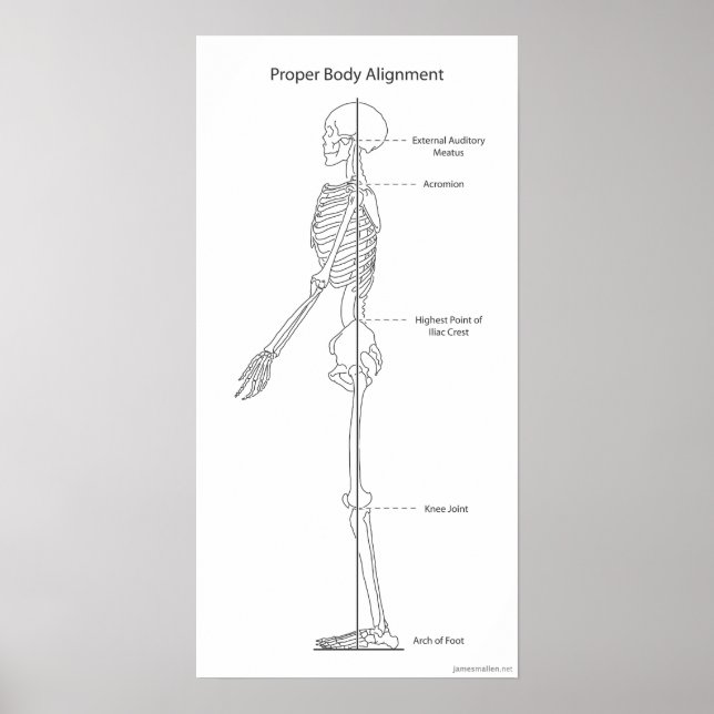 Proper Body Alignment Poster (Front)