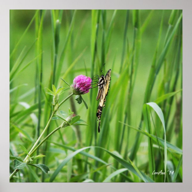 Proper Perch Poster (Front)