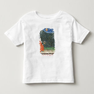 Properties of the Sky Toddler T-Shirt