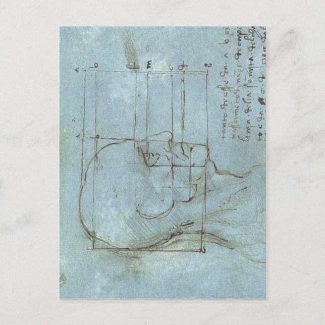 Proportions of the Head 1488 1489 ) is a drawing b Postcard (Front)