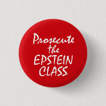 Prosecute the Epstein Class