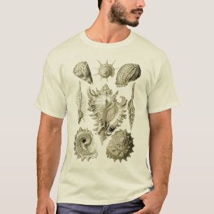 Prosobranchia T-Shirt