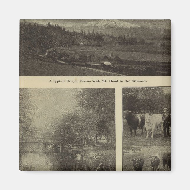 Prosperity, plenty in Oregon Magnet (Front)