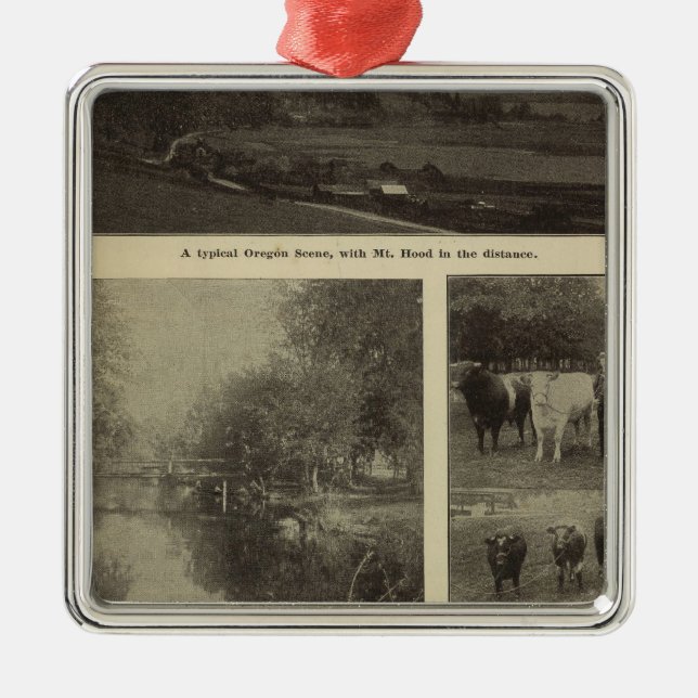 Prosperity, plenty in Oregon Metal Tree Decoration (Front)