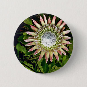 Protea Bloom - Maui 6 Cm Round Badge