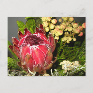 Protea Bouquet Postcard