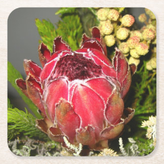 Protea Bouquet Square Paper Coaster