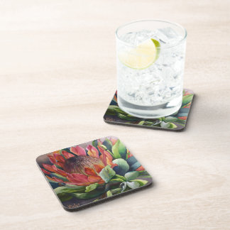 Protea Coasters