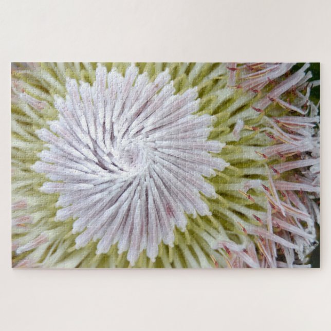 Protea cynaroides King Protea. Jigsaw Puzzle (Horizontal)