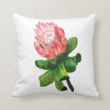 Protea Design, Australian flower
