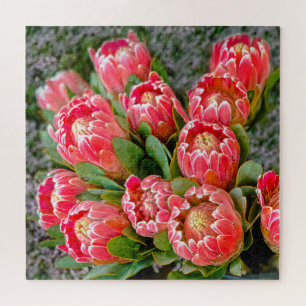 Protea flower bunch photo 20' x 20' 676 piece jigsaw puzzle