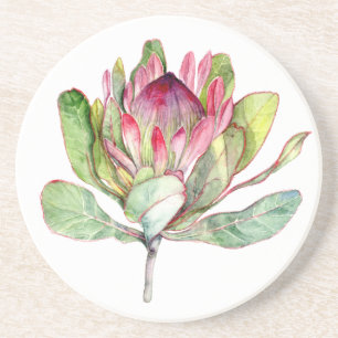 Protea Flower Coaster