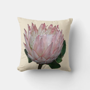 Protea Flower Ice-cream Cushion