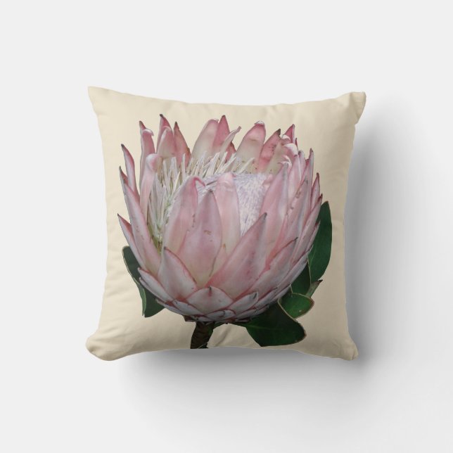 Protea Flower Ice-cream Cushion (Front)