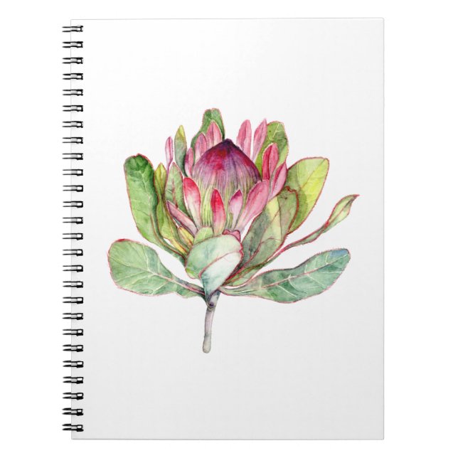 Protea Flower Notebook (Front)