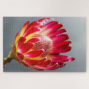 Protea flower photo jigsaw puzzle