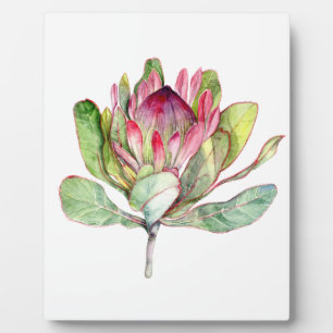 Protea Flower Plaque