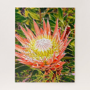 Protea flower puzzle