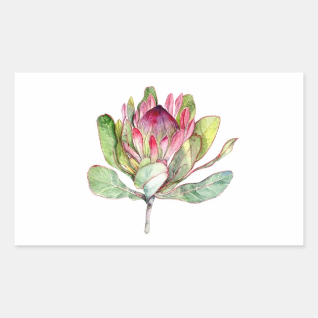 Protea Flower Rectangular Sticker (Front)