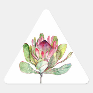 Protea Flower Triangle Sticker