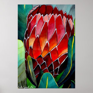 Protea flower watercolour original art painting poster