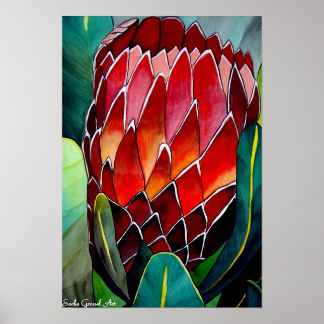 Protea flower watercolour original art painting poster (Front)