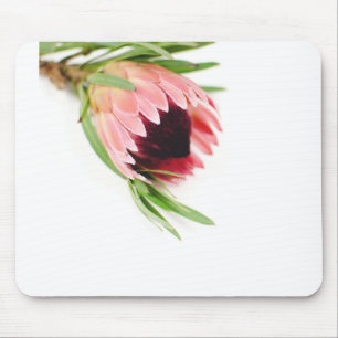 Protea Mouse Pad