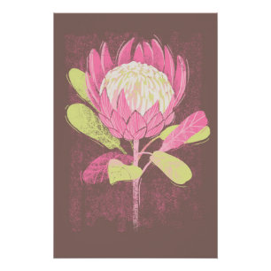 Protea Poster