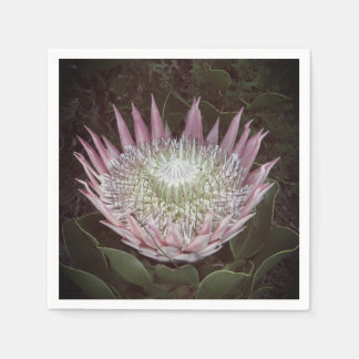 Protea print paper napkins