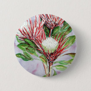 Proteas 6 Cm Round Badge
