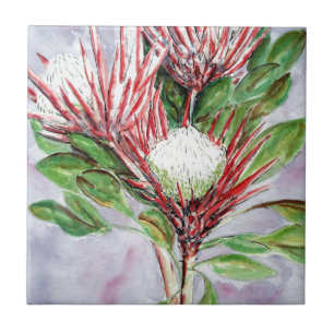 Proteas Ceramic Tile