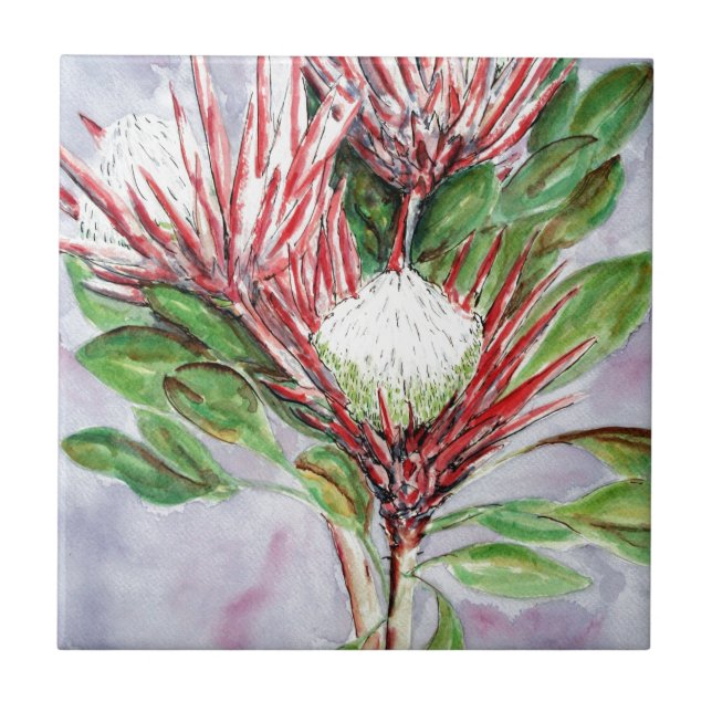 Proteas Ceramic Tile (Front)